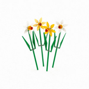 Narcise, +8 ani, 40747, Lego Flowers